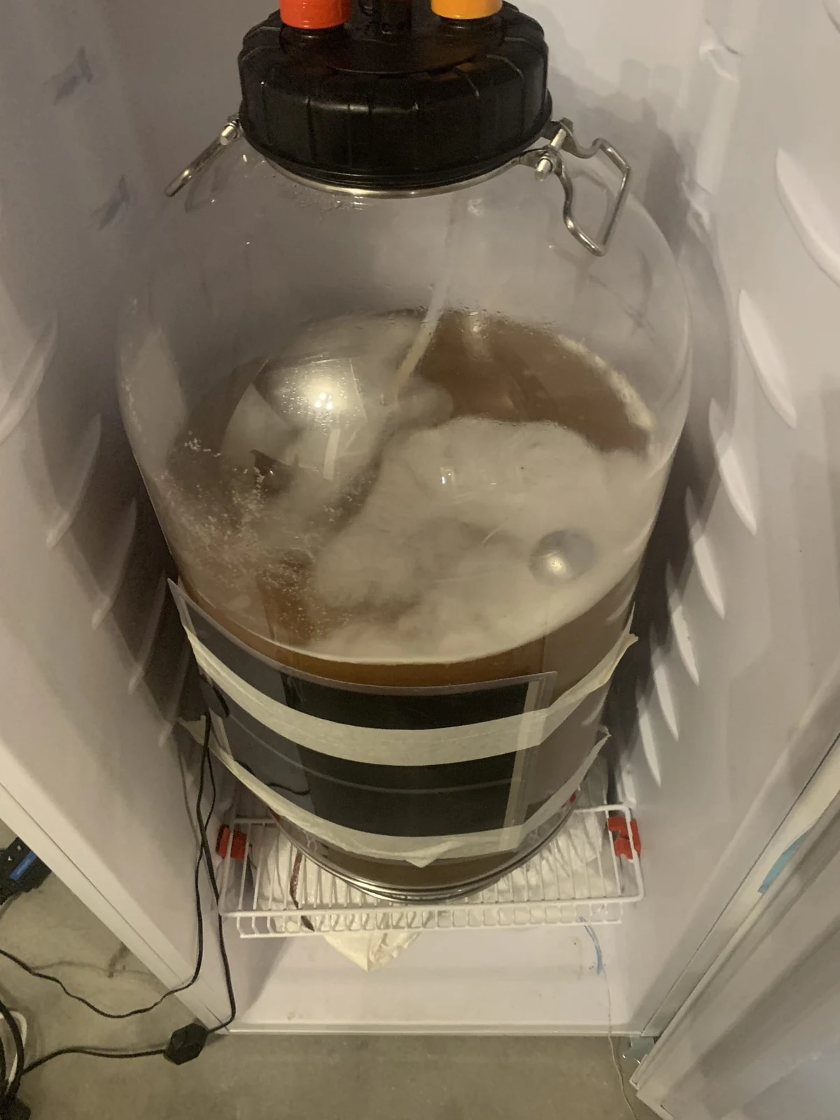 Originalfoto: Gärbehälter in einem Kühlschrank